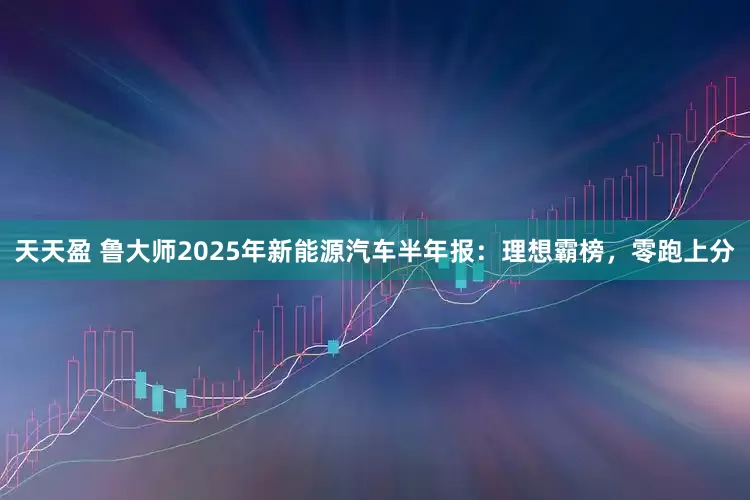 天天盈 鲁大师2025年新能源汽车半年报：理想霸榜，零跑上分