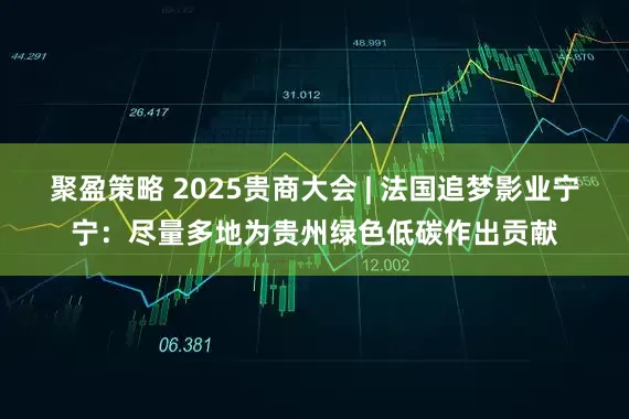 聚盈策略 2025贵商大会 | 法国追梦影业宁宁：尽量多地为贵州绿色低碳作出贡献